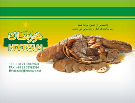 طراحی سایت آریانا پرداز