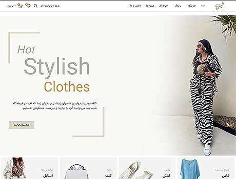 طراحی سایت آریانا پرداز