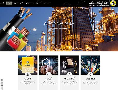 طراحی سایت آریانا پرداز